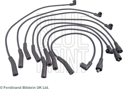 Blue Print ADJ131607