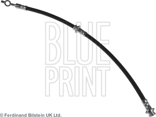 Blue Print ADN153181