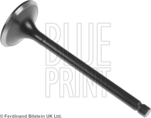 Blue Print ADU176102