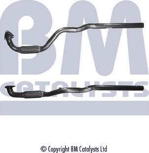 BM Catalysts BM50081 - BM50081 CAURULE
