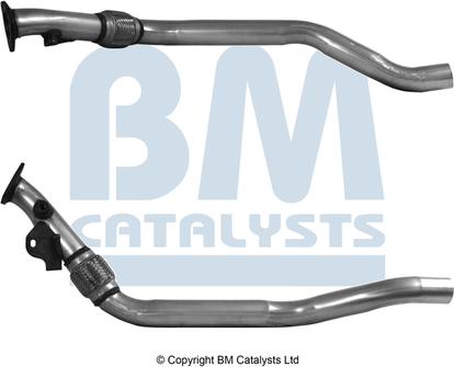 BM Catalysts BM50325