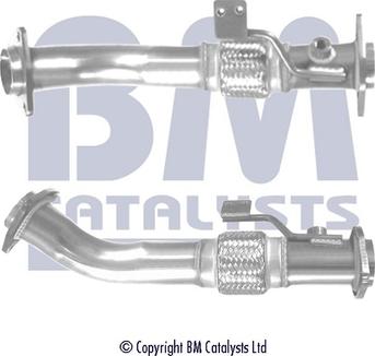 BM Catalysts BM50480
