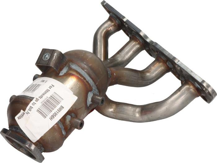 BM Catalysts BM91956H