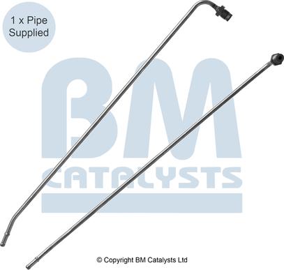BM Catalysts PP31021B