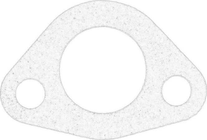 BMW 11121738963 - Blīve, Dzesēšanas šķidruma