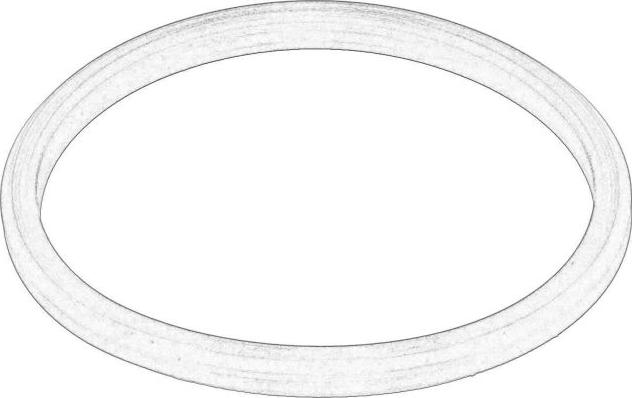 BMW 11617788415 - Blīvgredzens, Gaisa pūtes