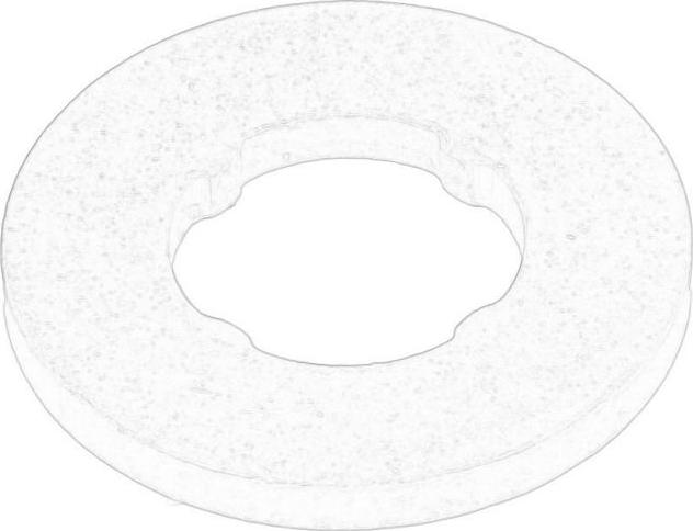 BMW 13532247156 - Blīvgredzens, Sprauslas kanāls