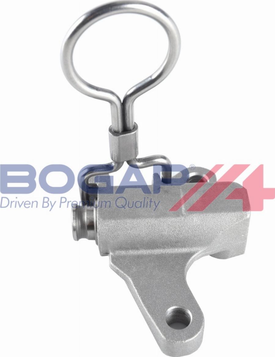 BOGAP A1312119