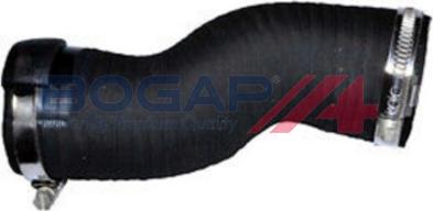 BOGAP A1711220