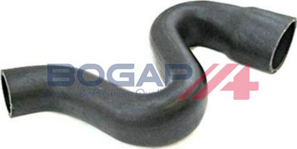 BOGAP A1711314