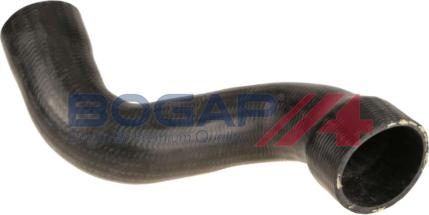 BOGAP A1711338