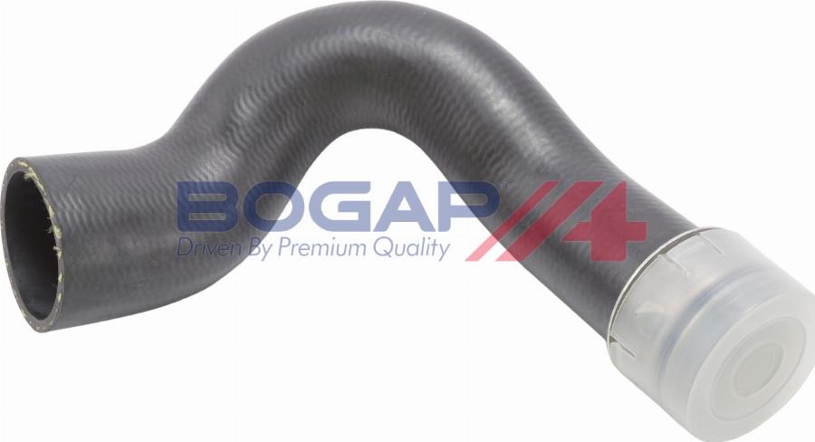 BOGAP A1711349