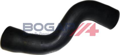 BOGAP A1711384