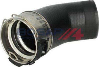 BOGAP A1711391