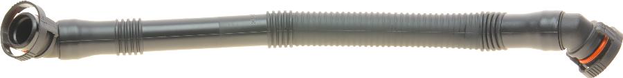 BOGAP B1210118