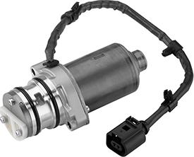 BorgWarner DS119866 - HALDEX SŪKNIS DS119866