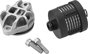BorgWarner DS120356