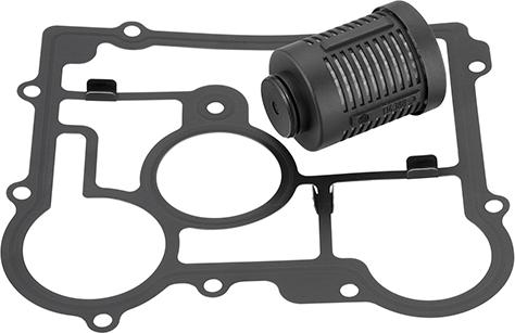 BorgWarner DS2006273