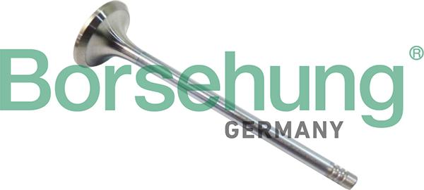 Borsehung B10321
