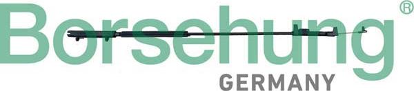 Borsehung B10777