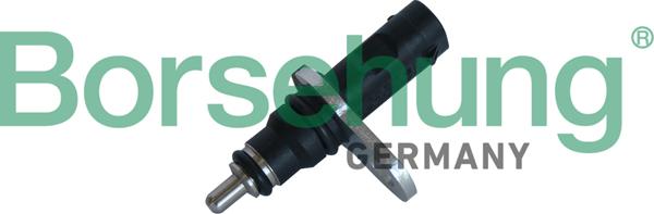 Borsehung B11863