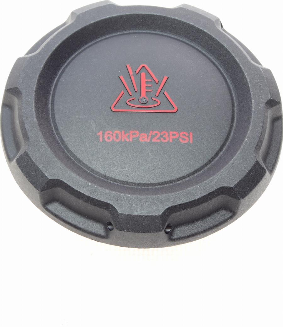 Borsehung B12203