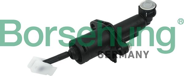 Borsehung B17916