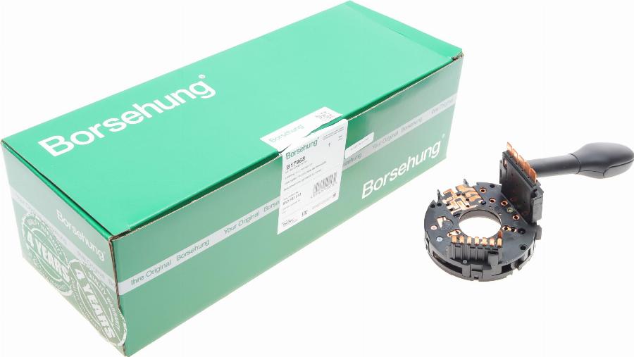 Borsehung B17968