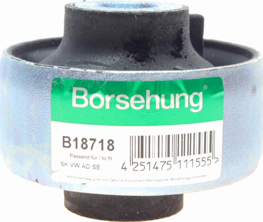 Borsehung B18718