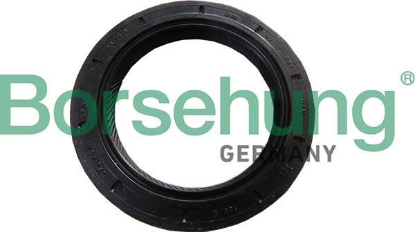 Borsehung B18791