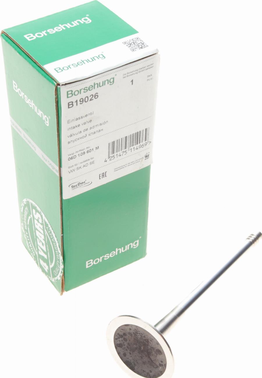 Borsehung B19026