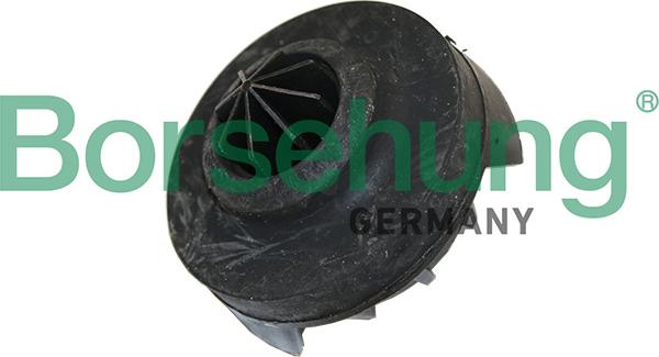 Borsehung B19067