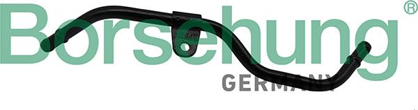 Borsehung B19265
