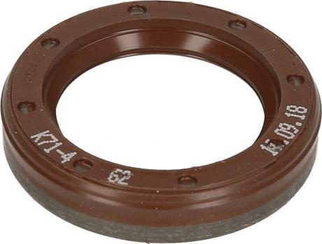 BOSCH F00N202658 - BLĪVSLĒGS 25X36