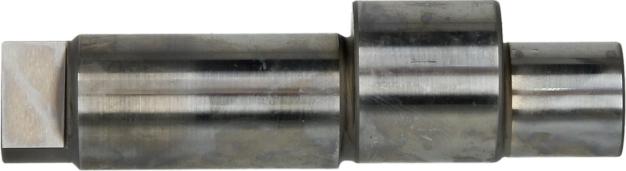 BOSCH F00R0P1765 - REZERVES DĪZEĻDAĻAS F