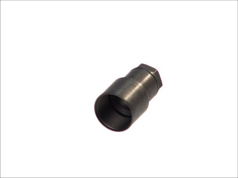 BOSCH F00RJ00841 - SPRAUSLAS UZGRIEZNIS F