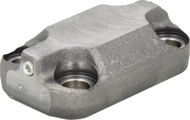 BOSCH F 01M 100 221 -