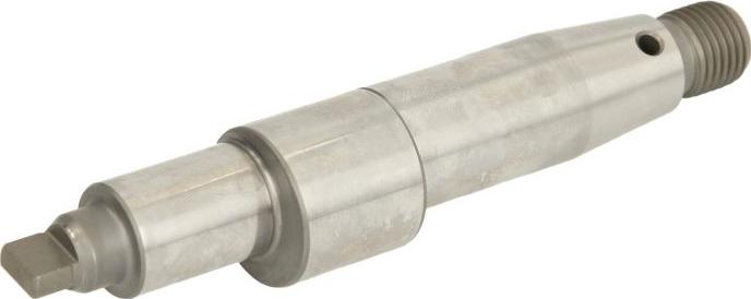 BOSCH F01M100579