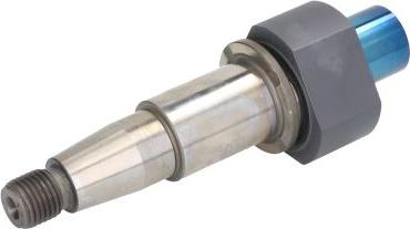 BOSCH F 01M 100 928 -