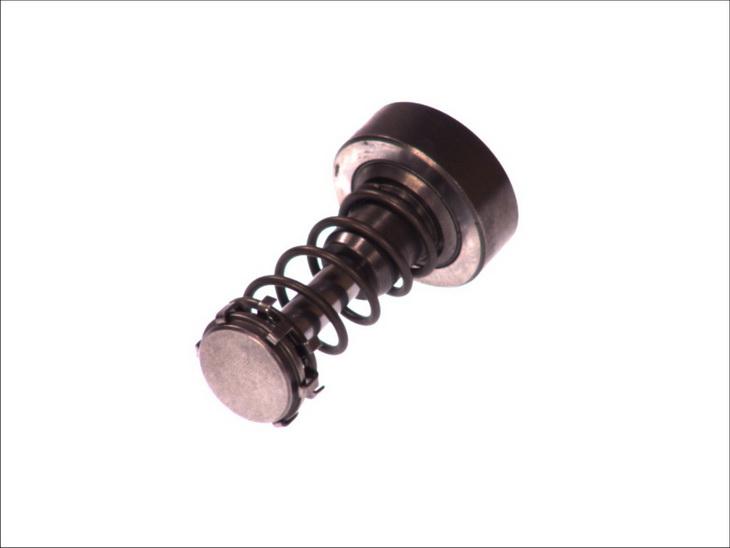 BOSCH F 01M 101 355 -