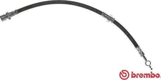 Brembo T10008 - Bremžu šļūtene