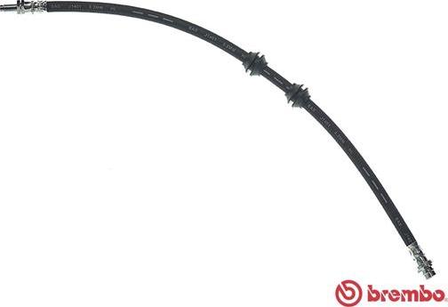 Brembo T44033