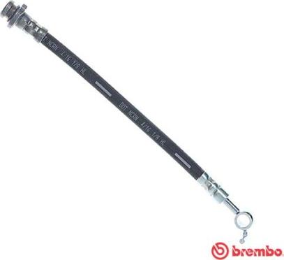 Brembo T56163 - Bremžu šļūtene