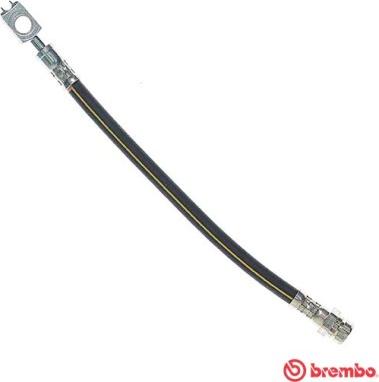 Brembo T85137 - Bremžu šļūtene