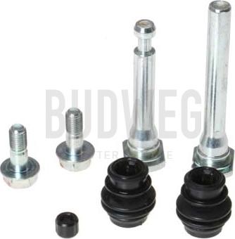 Budweg Caliper 169155 - 113-0009X REM