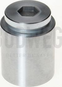 Budweg Caliper 233604 - 233604 REM