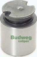 Budweg Caliper 233841 - 233841 38mm