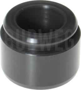 Budweg Caliper 234043 - REM. VIRZULIS