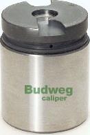 Budweg Caliper 234220 - 234220 42mm