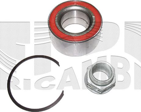 DAYCO KWD1124